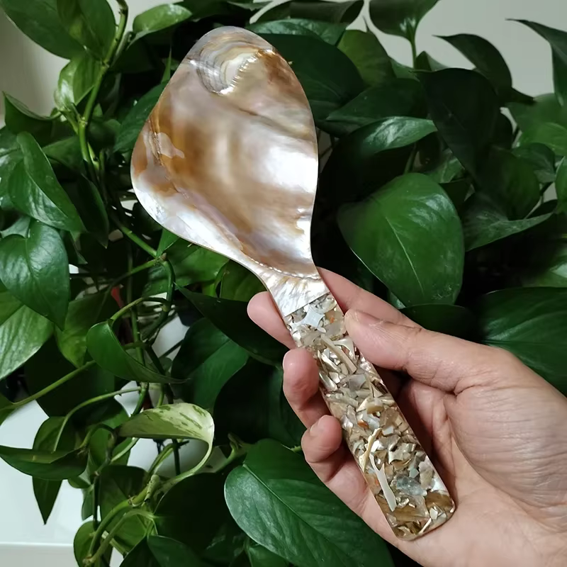 Cuillère à riz en nacre, palette à riz en coquille naturelle, cuiseur à riz résistant à la chaleur,