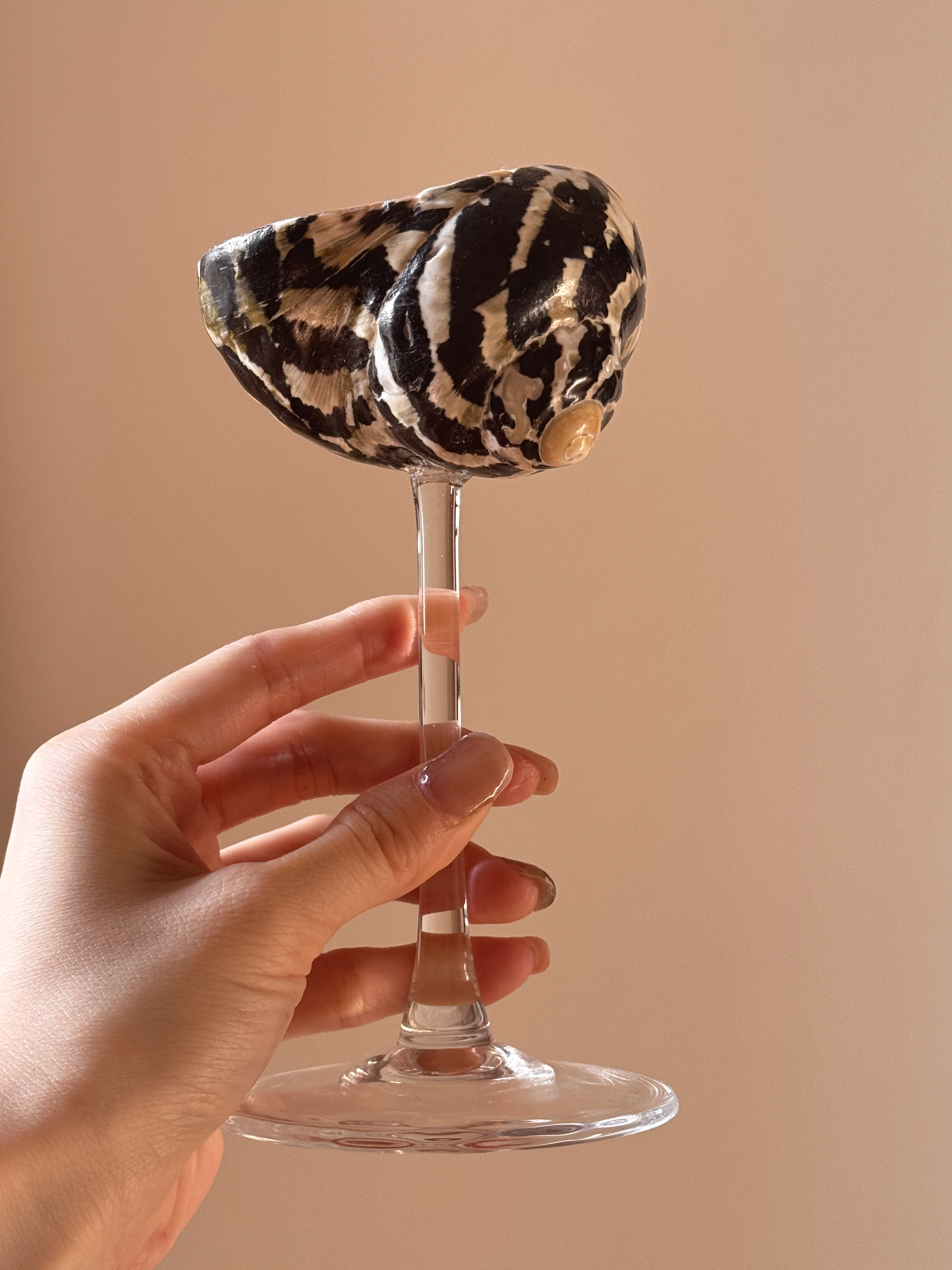 AhunderJiaz – Gobelet en verre naturel en forme de coquille, tasse Highball au Design Unique pour Ba