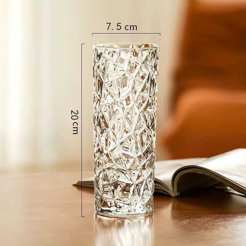 Vase en verre hydroponique transparent à motif glacier, élégant pour la décoration de la maison, vas