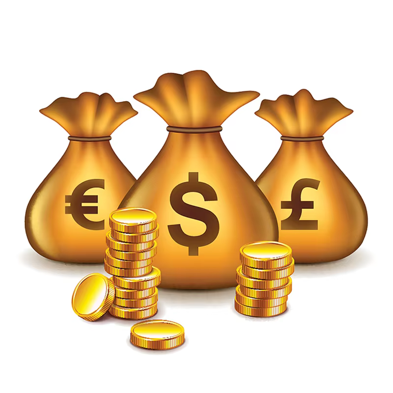 Lien de paiement de frais de conception supplémentaires