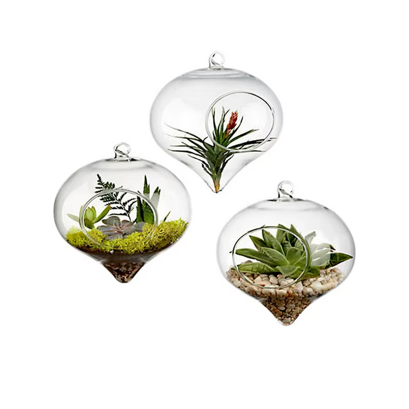 Vase à Boules de Verre de 11x9cm pour Décoration de Mariage, Terrarium, Conteneur, Pots