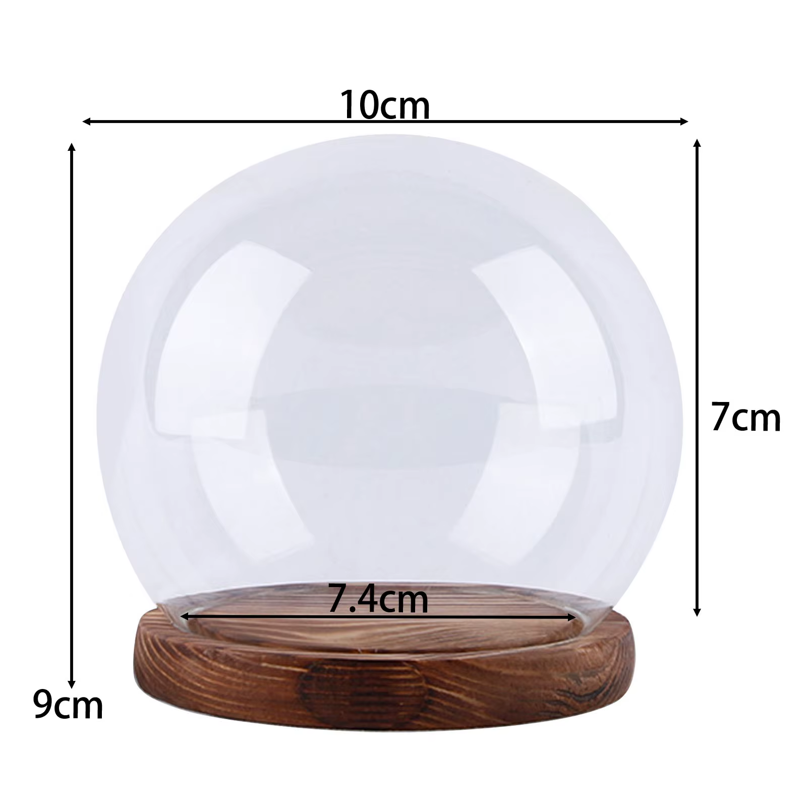 Everche-Globe breton en verre avec base, présentoir en verre britannique, forme de boule transparent