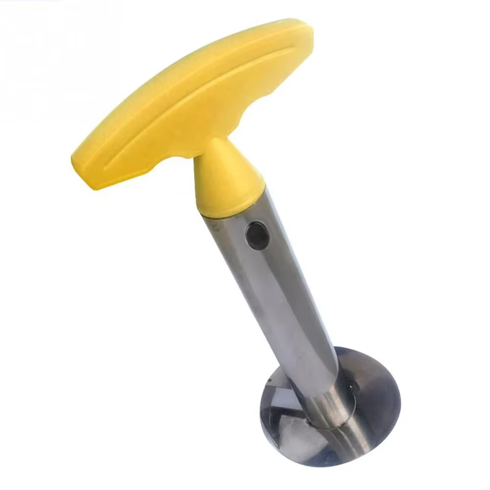Trancheur d'ananas, éplucheur, couteau Parer, outils de cuisine en acier inoxydable pour fruits, out