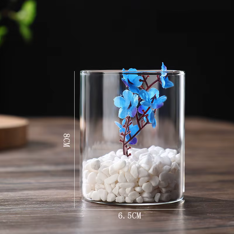 Vases cylindriques en verre, Vase hydroponique en verre Transparent, bougeoirs, Vase à fleurs Transp