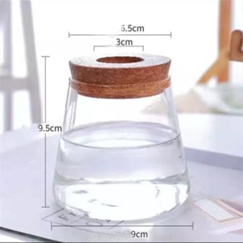 Vase hydroponique transparent, pot de plante en verre créatif pour plantes vertes, mini terrarium sa