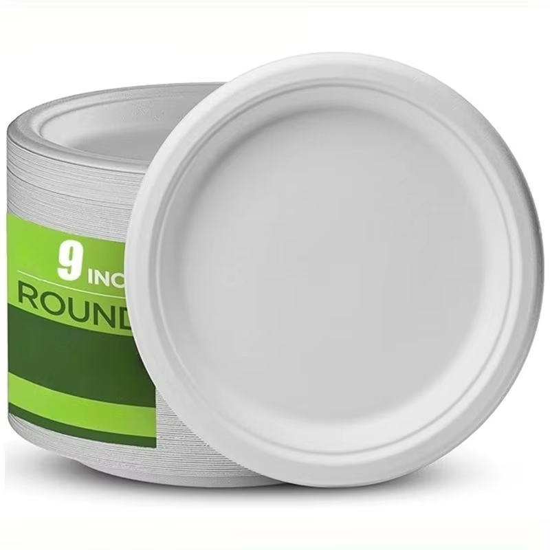 Assiette en papier circulaire jetable biodégradable de 9 pouces, pour fête d'anniversaire, noël, piq