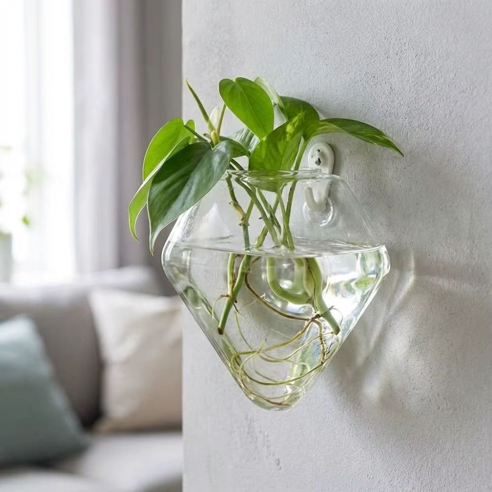 Vase hydroponique de forme irrégulière