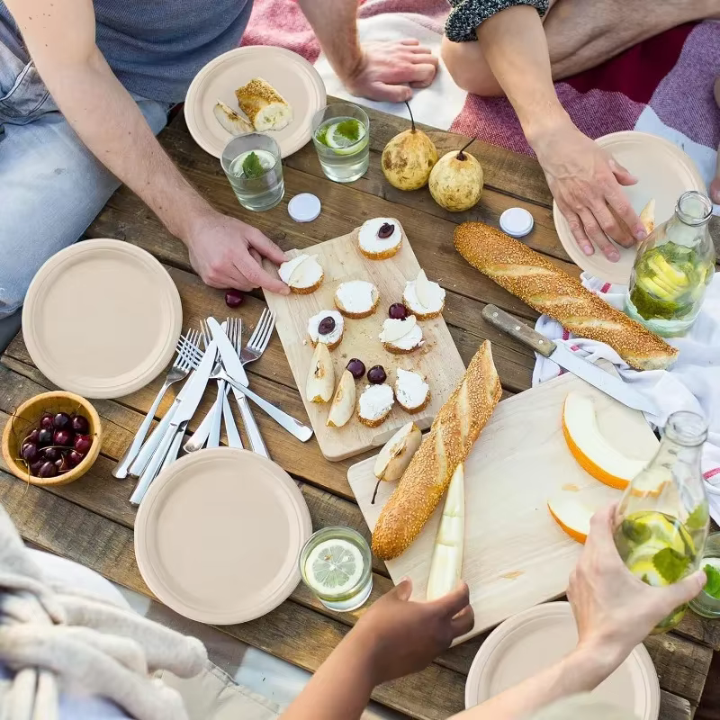 Assiette en papier circulaire jetable biodégradable de 9 pouces