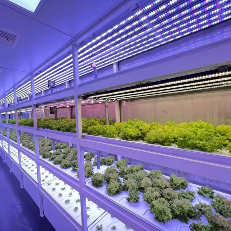 Conteneur agricole personnalisé pour l'expédition de fourrage, de pâturage et de herbe, durable et étanche