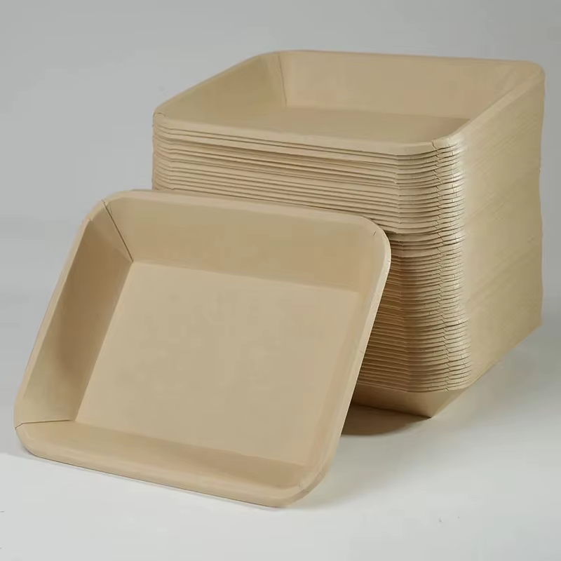 Plateau en papier jetable