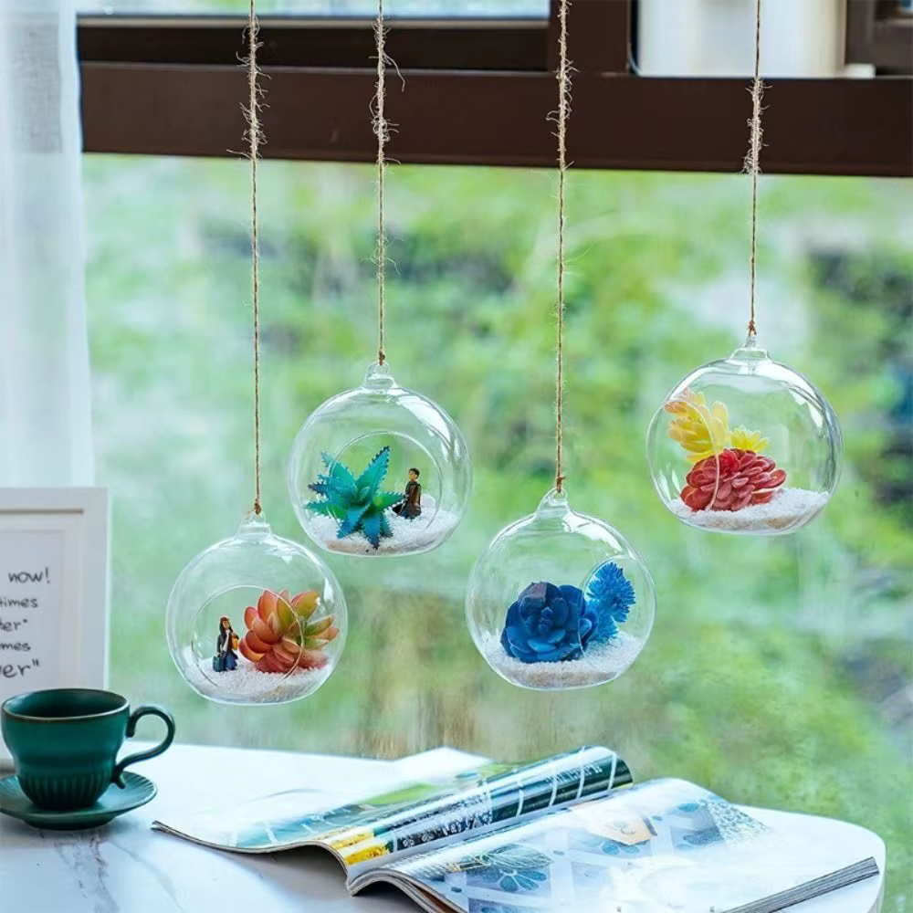 Vases en verre suspendus transparents