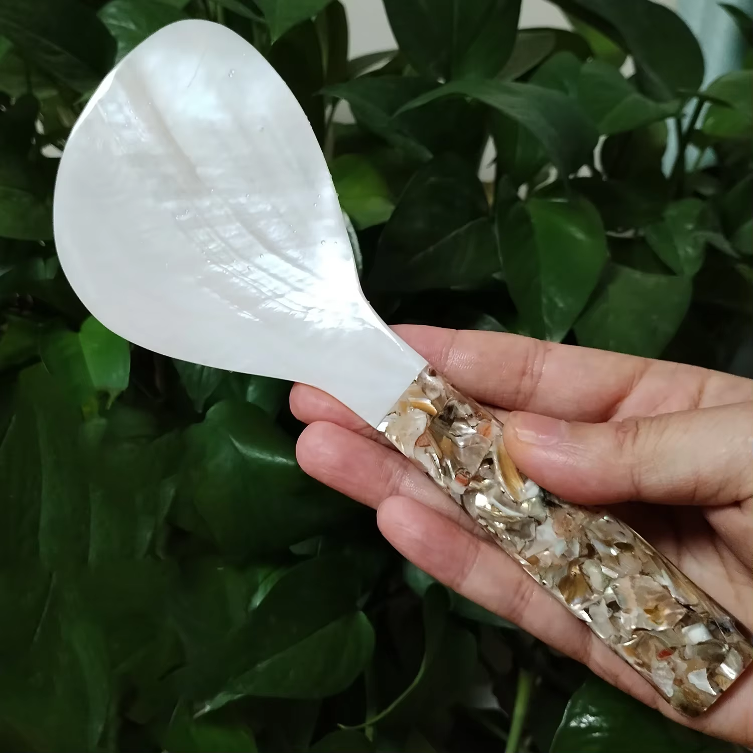 Cuillère à riz en nacre