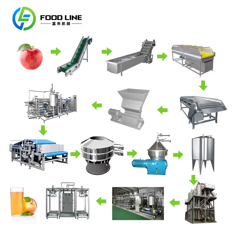 Ligne de production de jus de pomme personnalisée, usine de traitement automatique des fruits, remplissage et emballage, solution clé en main pour usine de boissons
