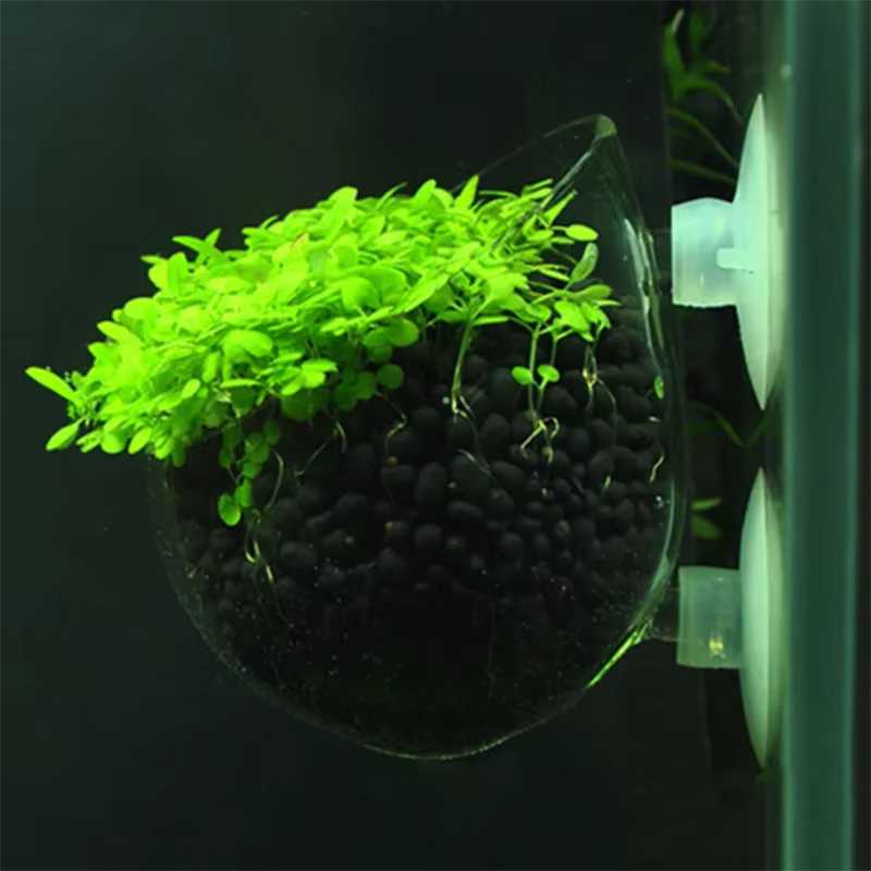 Décoration d'aquarium en verre suspendu pour Aquarium, Mini Pot en cristal, Pot d'eau à pois, cylindre de plantation, tasse, accessoires d'aquarium