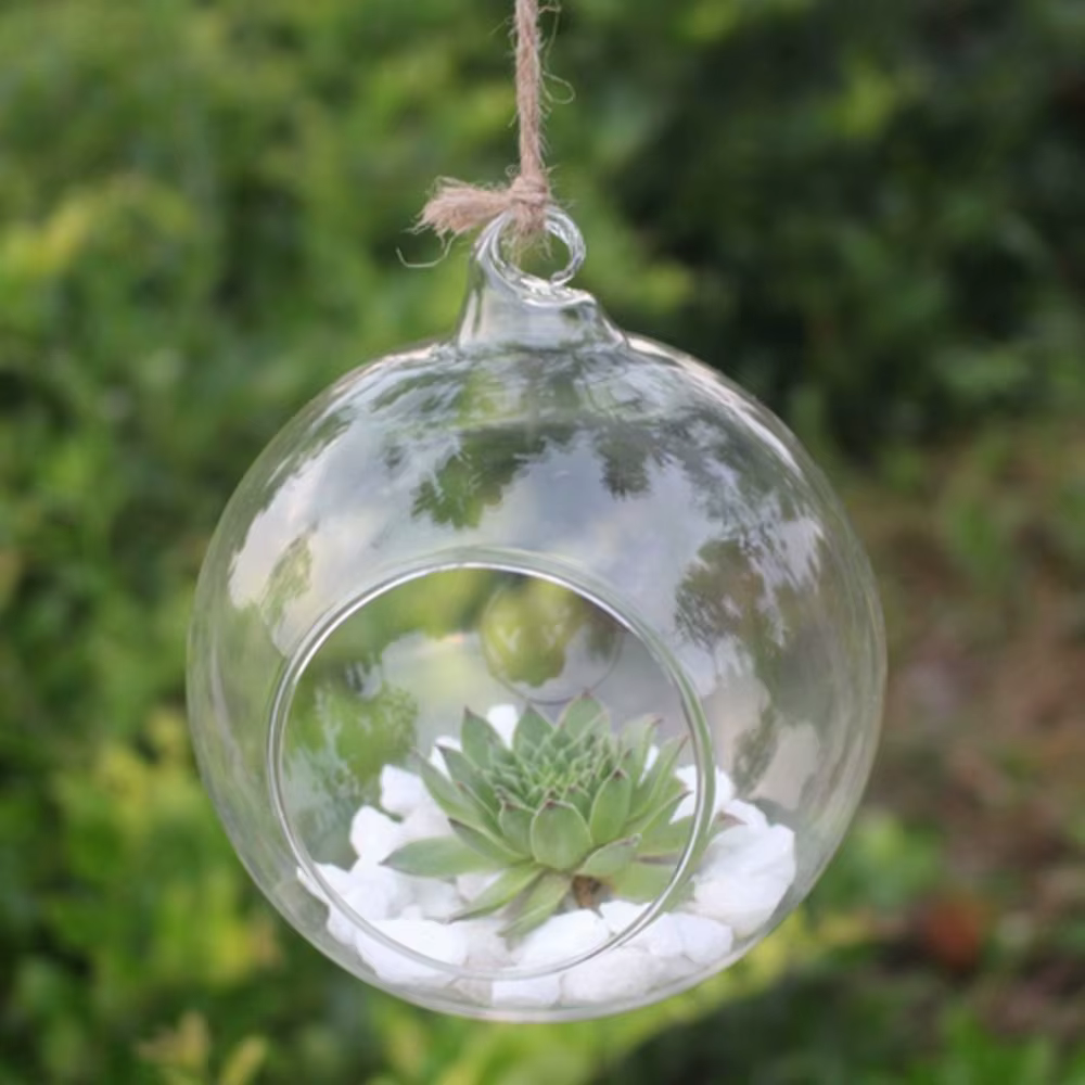 Vases en verre suspendus transparents