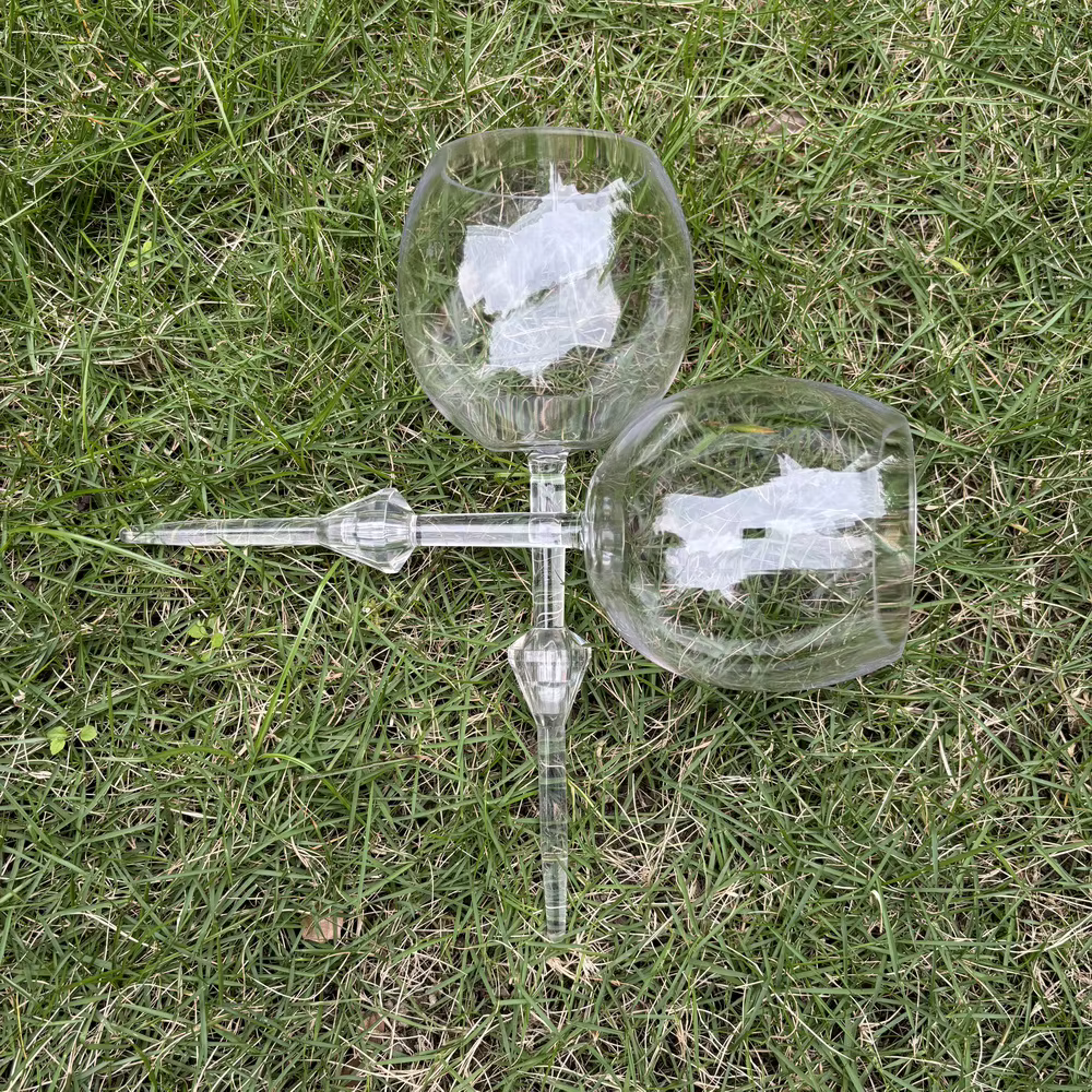 Flûtes à Champagne en Plastique et Acrylique