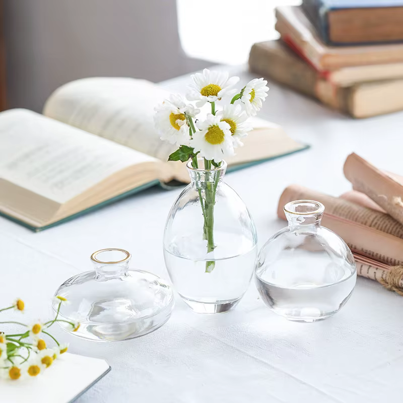 Vase en verre transparent pour plantes