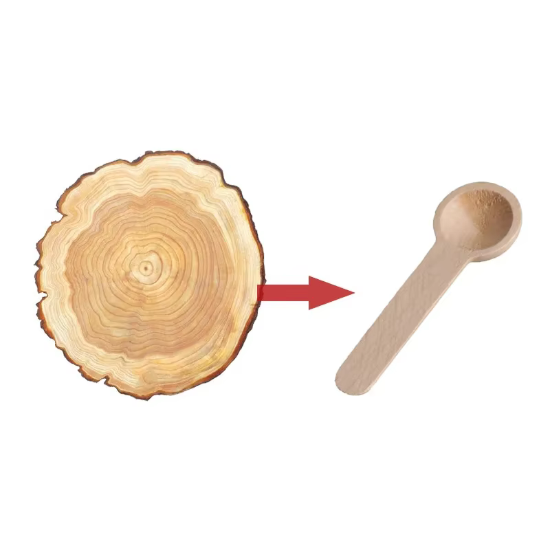 10 mini-cuillères en bois pour la cuisine