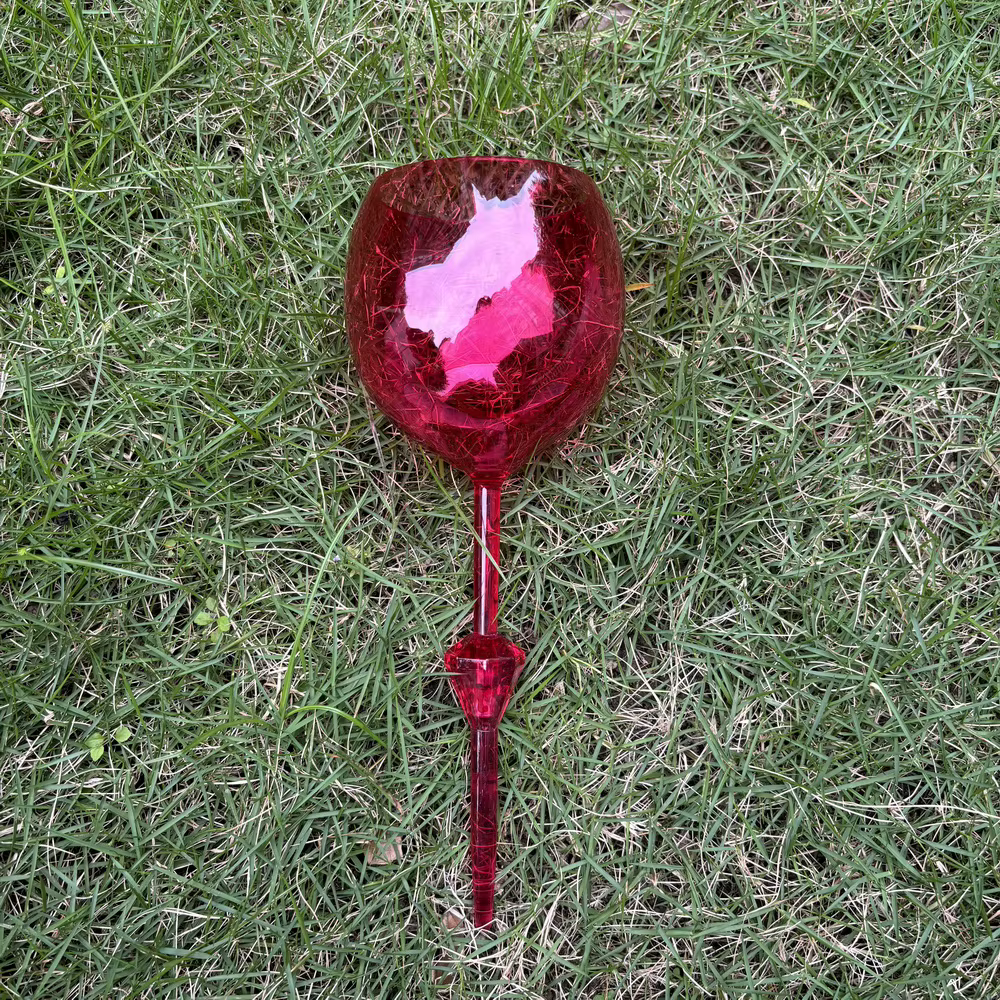 Flûtes à Champagne en Plastique et Acrylique