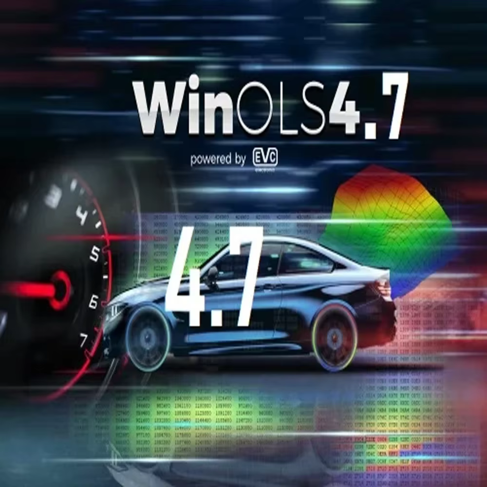 Winols 4.7 entièrement activé + 108 Go Damos Windows 7 10 11 Pas besoin de Vmware multilingue + ECM TITANIUM 1.61 + outil de SERVICE IMMO