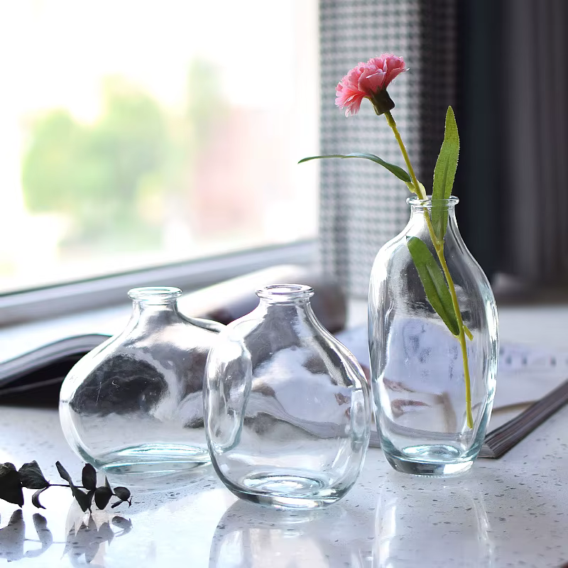 Vase à fleurs en verre transparent irrégulier