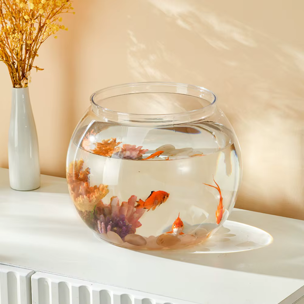 Petits aquariums ornementaux pour poissons et reptiles, bol à poisson, verre haute transparence, bonne vue