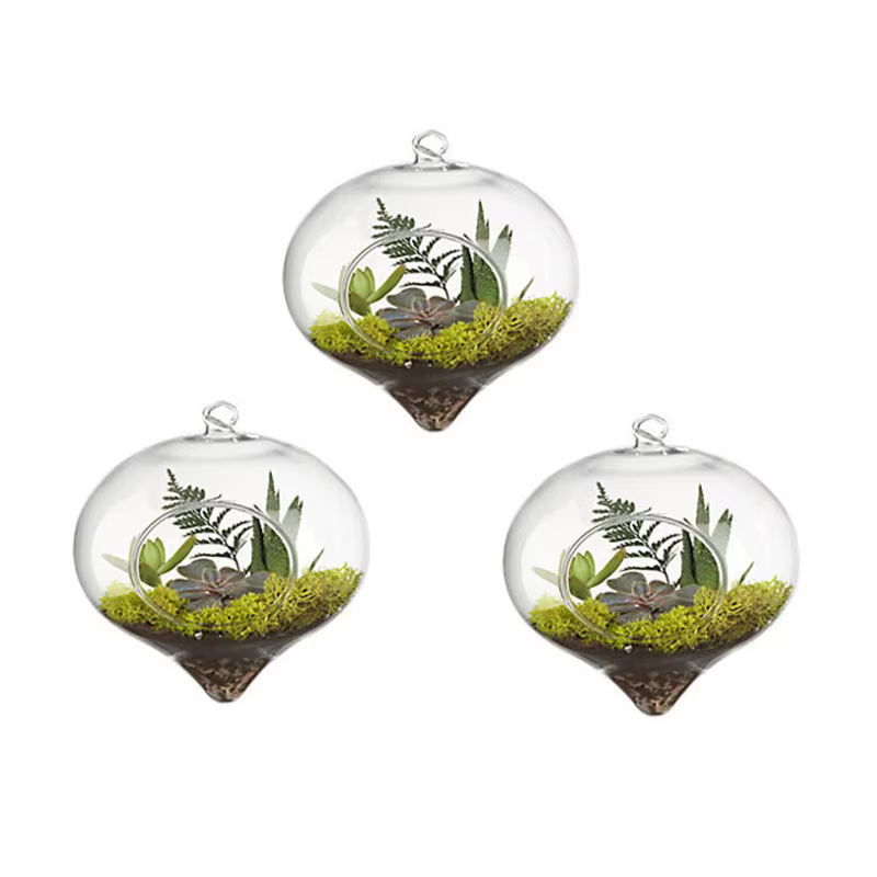 Vase à Boules de Verre de 11x9cm pour Décoration de Mariage, Terrarium, Conteneur, Pots