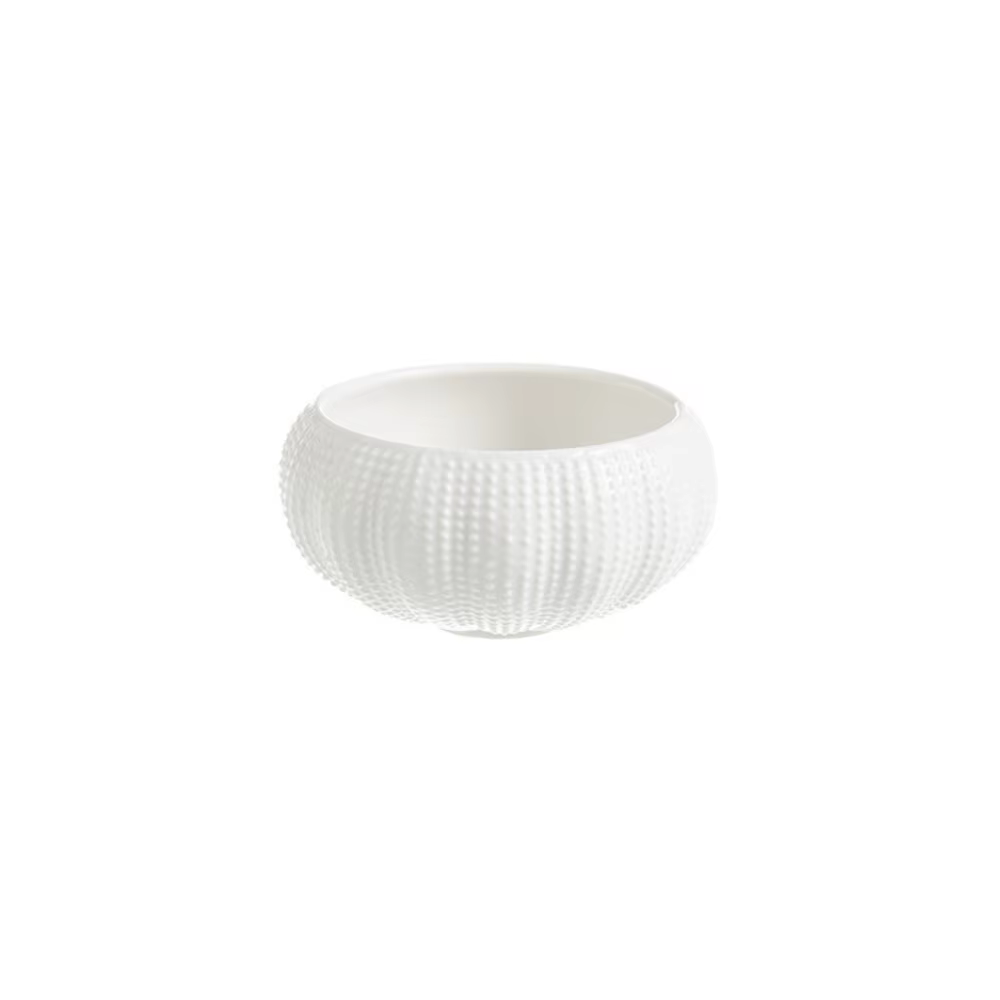 Assiette à huîtres en céramique