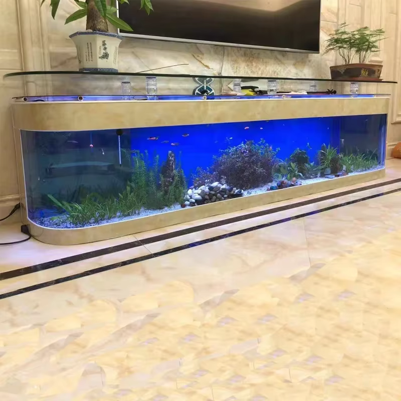 Grand Cube Transparent personnalisé en acrylique pour Aquarium, Table en verre pour Aquarium