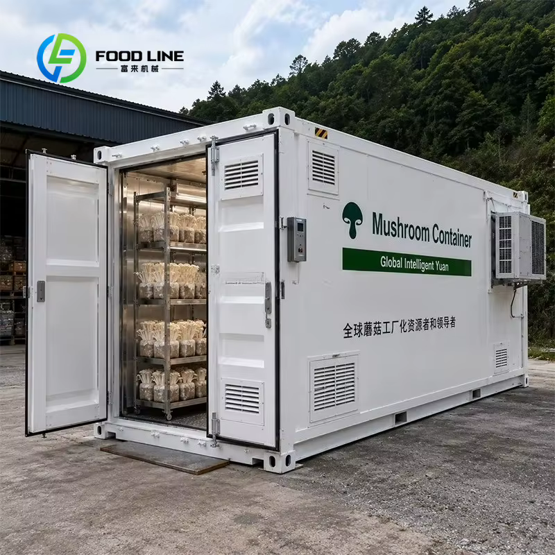 Système d'agriculture verticale en conteneur, culture hydroponique de la laitue, irrigation automatisée, agriculture intérieure, projet clé en main intelligent