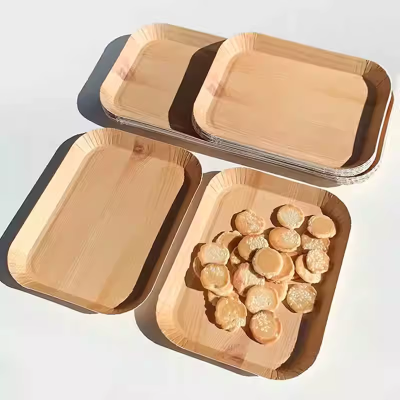 Assiettes en papier jetables compostables