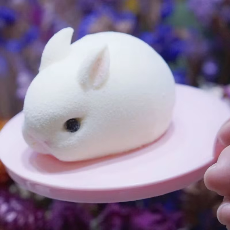Moules à gâteaux lapin 3D en Silicone