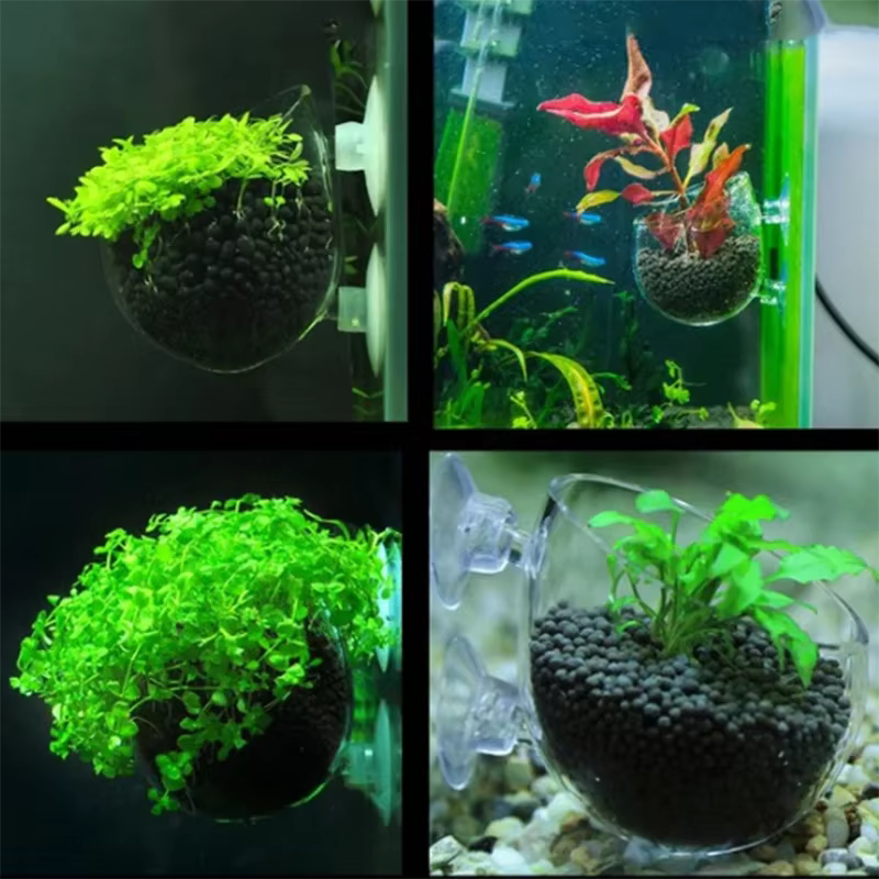 Décoration d'aquarium en verre suspendu pour Aquarium, Mini Pot en cristal, Pot d'eau à pois, cylindre de plantation, tasse, accessoires d'aquarium