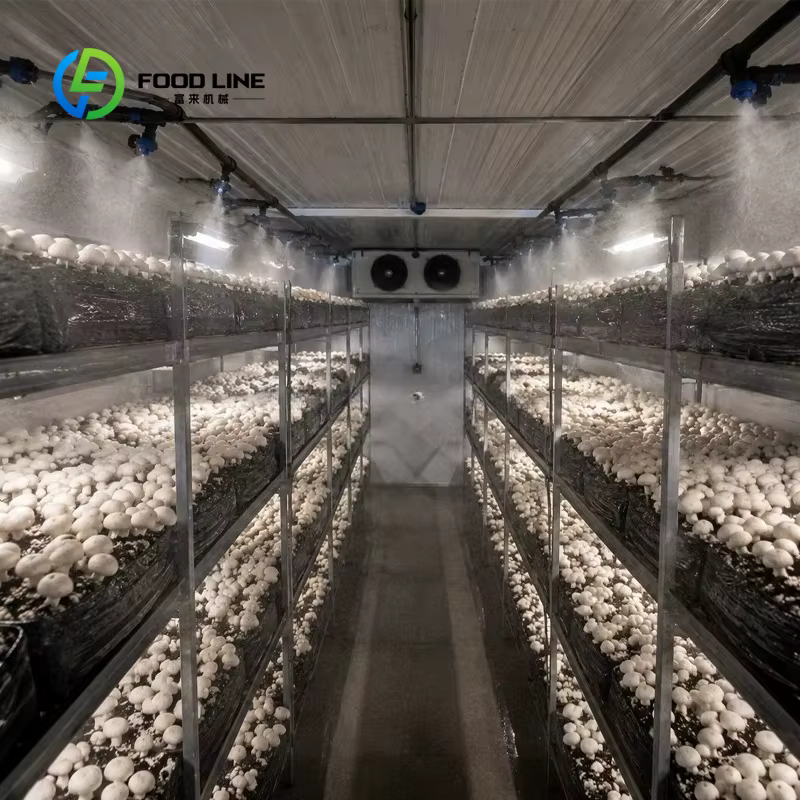 Système d'agriculture verticale en conteneur, culture hydroponique de la laitue, irrigation automatisée, agriculture intérieure, projet clé en main intelligent