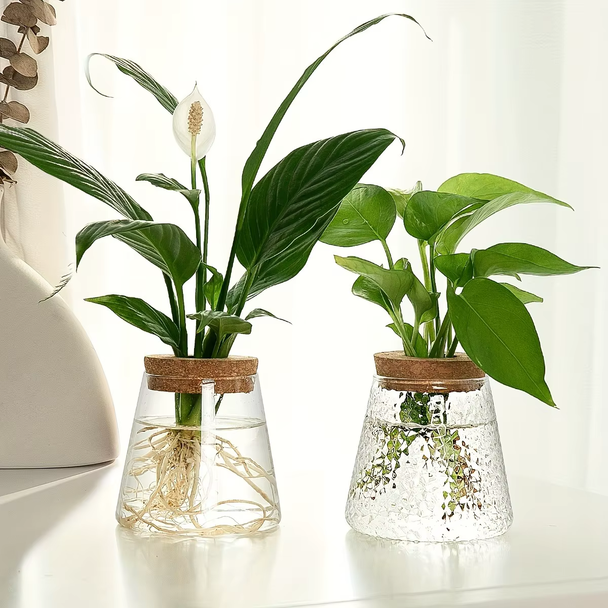 Station de propagation avec vases en verre – Support pour plantes de table pour coupures hydroponiques