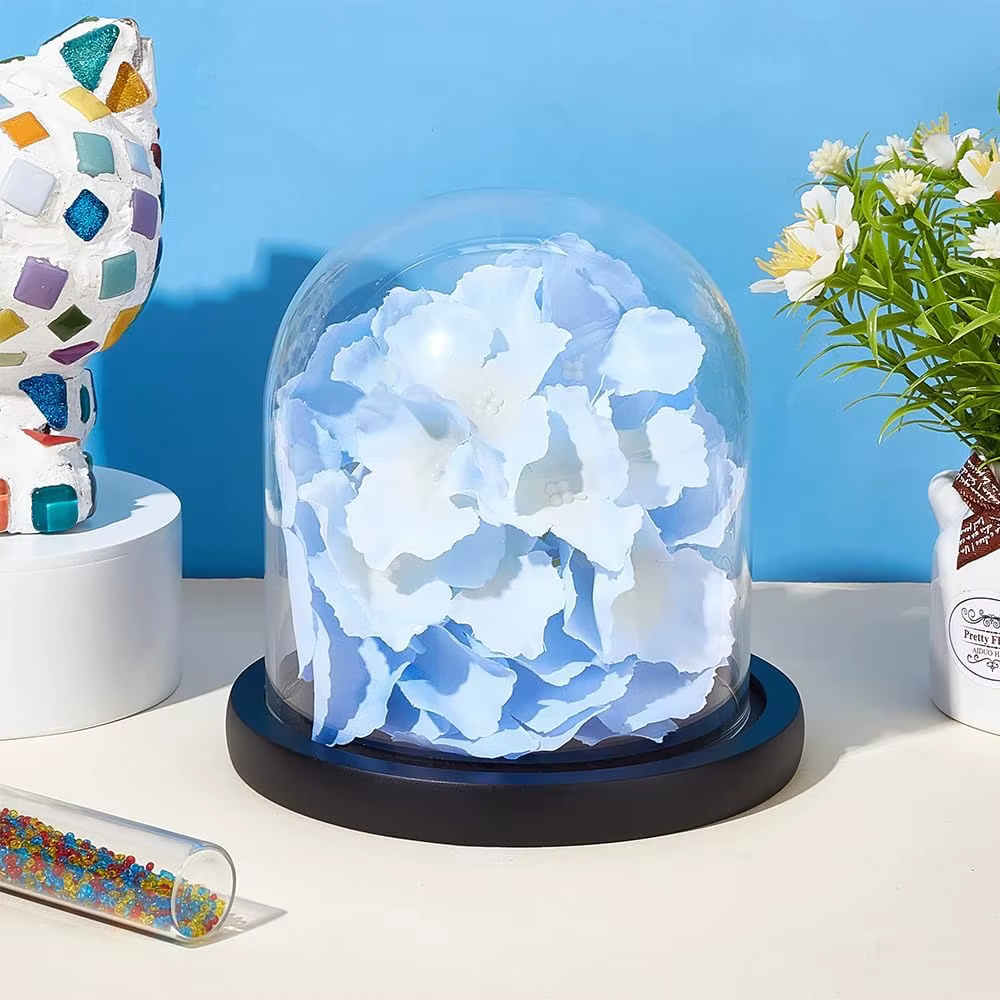 Boîte de rangement en verre Transparent