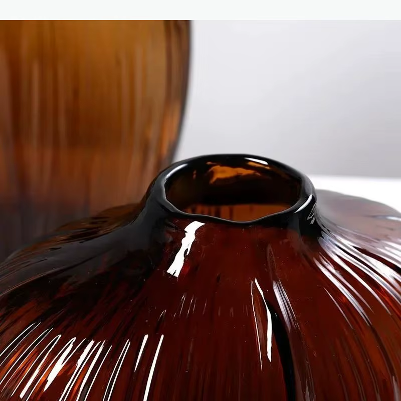 Vase en verre hydroponique transparent