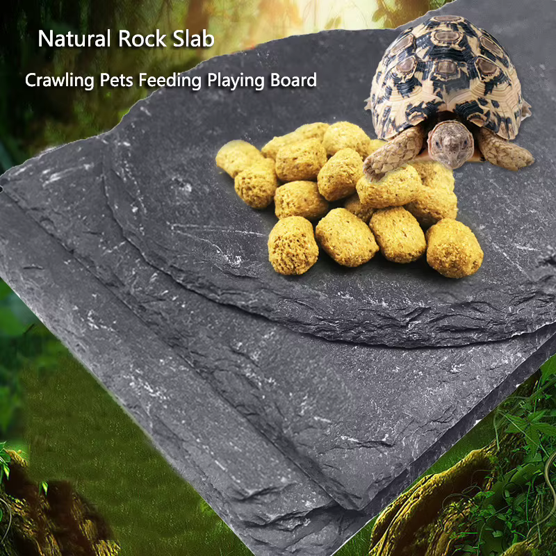 Polymères de dalle de tortue, assiette de bol de nourriture de roche naturelle, boîte de reptiles pour animaux de compagnie grimpante, aquarium logique de pingouin original, aide à la terrasse