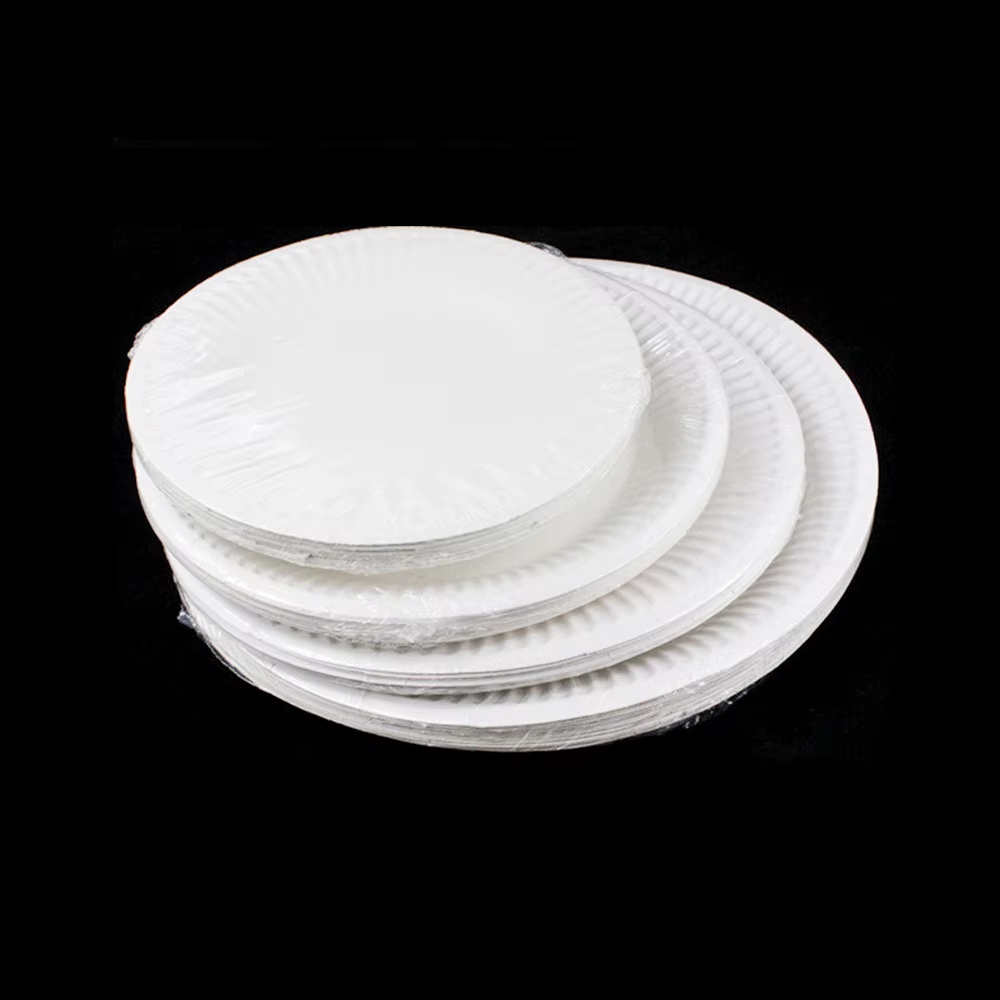 Ensemble d'assiettes en papier jetables blanches