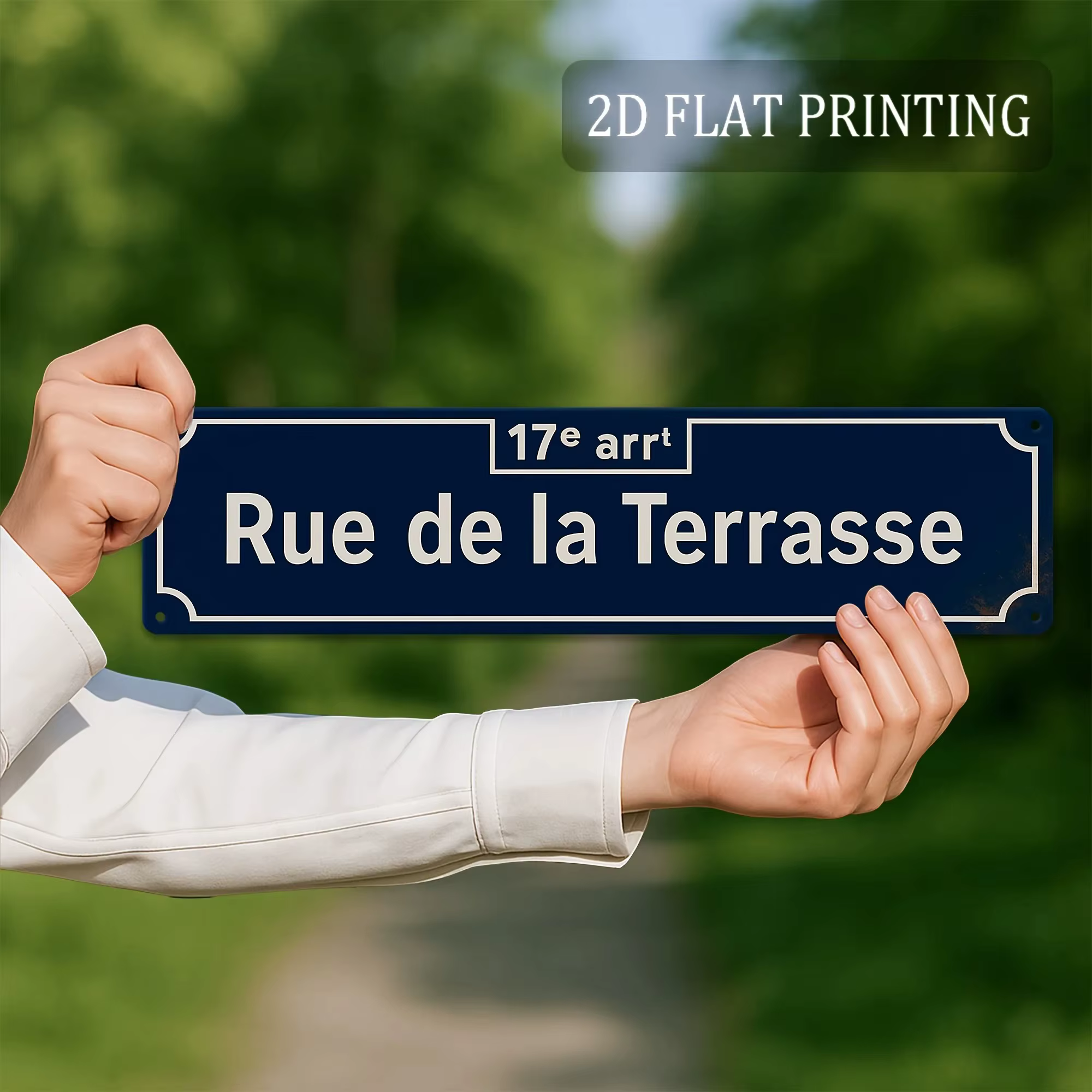 Plaque Métallique 2D Plate « Rue De La Terrasse » Style Français