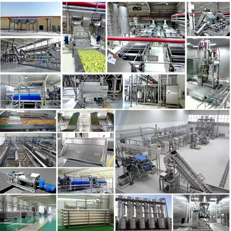 Ligne de production de jus de pomme après traitement, équipée d'un système de refroidissement, de mélange et de tamponnage pour la suite de la production de boissons