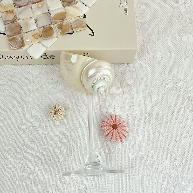 Verre à vin conque originale