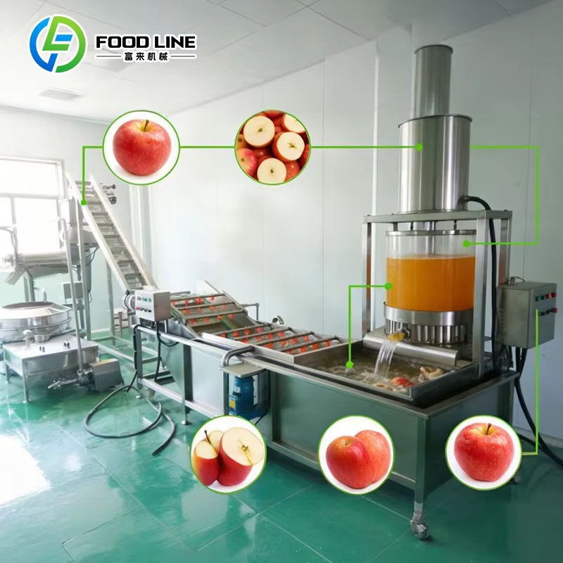 Ligne de production de jus de pomme personnalisée, usine de traitement automatique des fruits, remplissage et emballage, solution clé en main pour usine de boissons