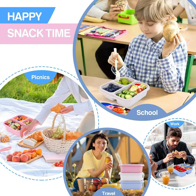 Boîte à déjeuner Bento pour enfant avec couvercles et fourchettes