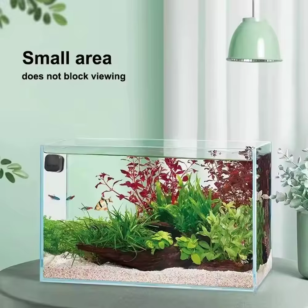 Brosse magnétique pour nettoyer les vitres d'aquarium, mini grattoir carré en plastique pour les algues des poissons, entretien précieux adapté aux divers poissons, 1 pièce