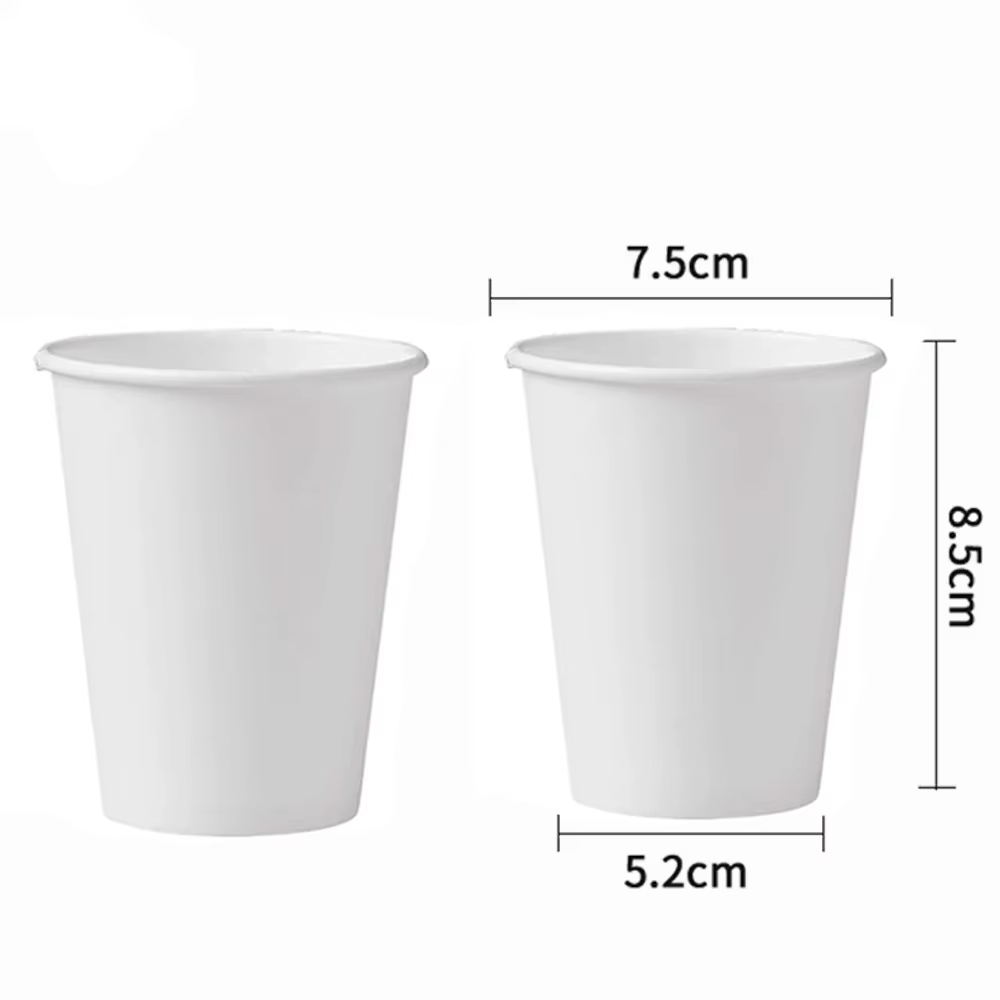 Assiettes en papier jetables