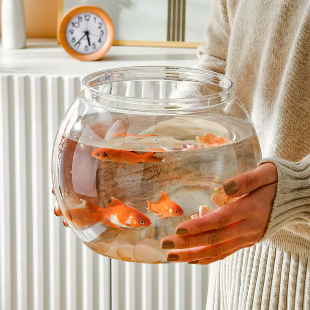 Petits aquariums ornementaux pour poissons et reptiles, bol à poisson, verre haute transparence, bonne vue