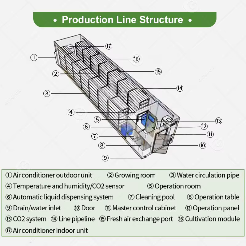 Ferme aéroponique en conteneur maritime avec électricité solaire, culture hydroponique verticale de laitue, champignons, safran, sur mesure