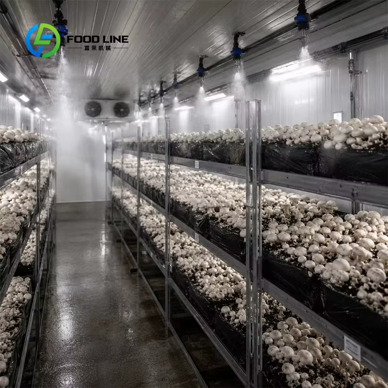 Système d'agriculture verticale en conteneur, culture hydroponique de la laitue, irrigation automatisée, agriculture intérieure, projet clé en main intelligent