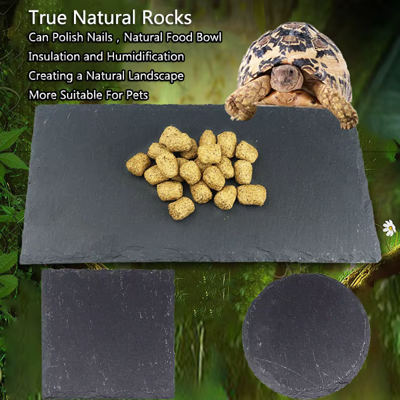 Polymères de dalle de tortue, assiette de bol de nourriture de roche naturelle, boîte de reptiles pour animaux de compagnie grimpante, aquarium logique de pingouin original, aide à la terrasse